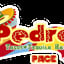 Pedros Tacos & Tequila Bar Pace